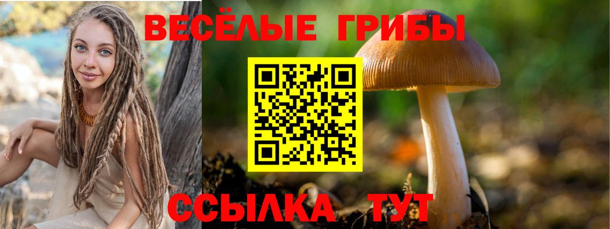 Галлюциногенные грибы MAGIC MUSHROOMS  цены наркотик  Вход с VPN  Будённовск  Галлюциногенные грибы мицелий 
