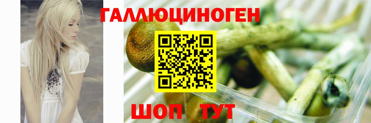 Галлюциногенные грибы Будённовск